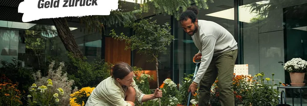 Zwei Personen pflanzen einen Baum mit einem Spaten